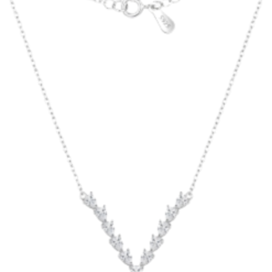 Stunning V Necklace
